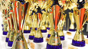 Чемпионат B.E BROW EXPERT